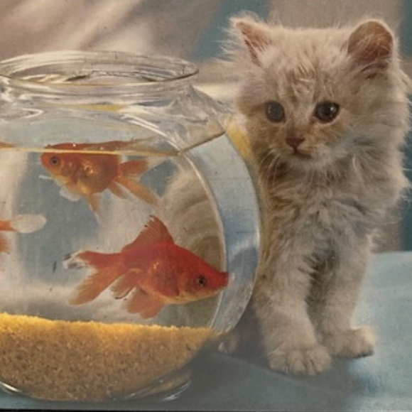 Vintage Gossard Artemus Chiffon Nightgown - Picture 12 of 12